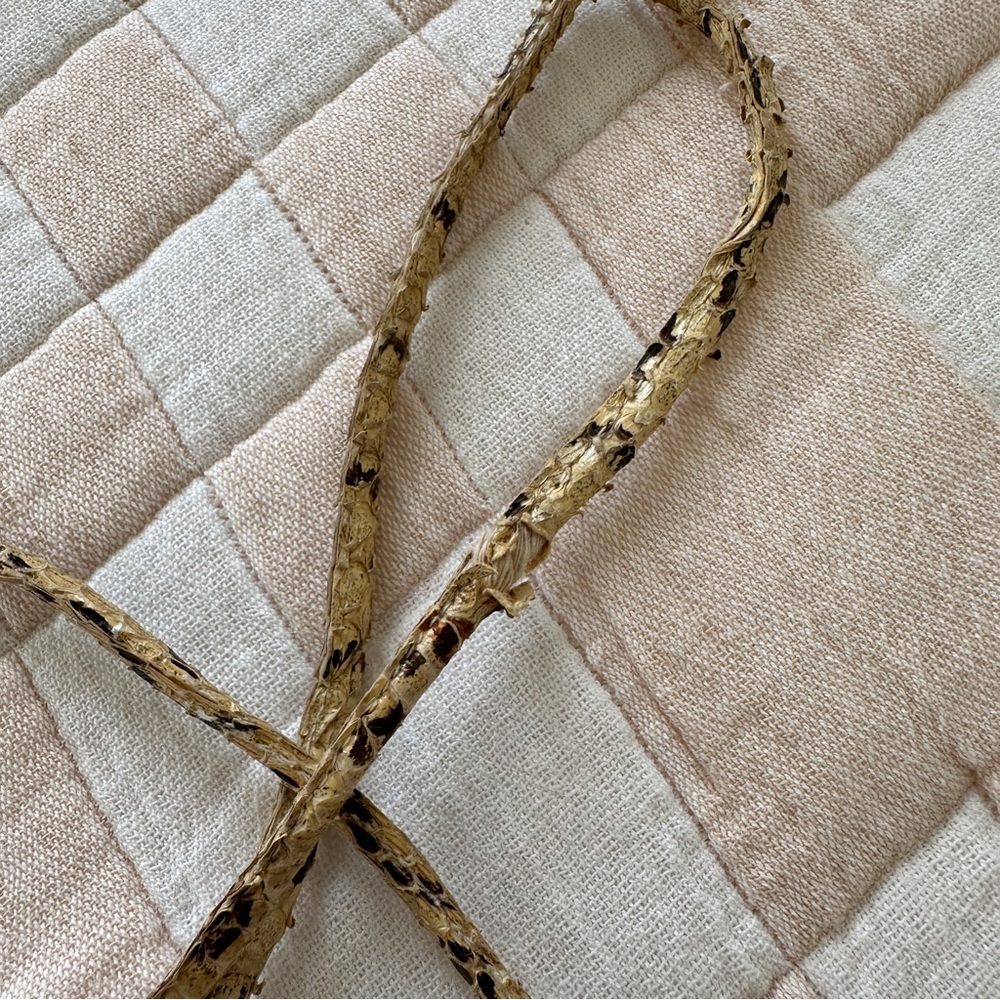 Vintage Authentic Snakeskin Purse, Very Unique‎ - Picture 7 of 7